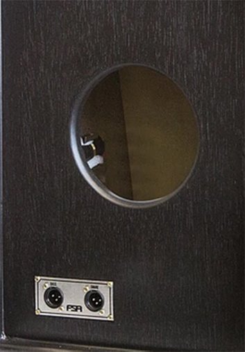 Cajon Fsa Standard Inclinado Fs2501 Elétrico Captação Dupla