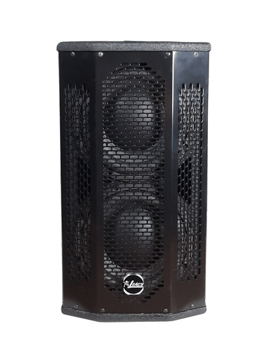 Sistema Amplificado Leacs Systempack Biamplificado 700 Wrms