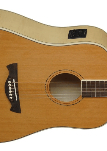 Violão Elétrico Tagima Florens Fs 250 Nc Eq Nt Com Bag
