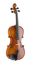 Viola De Arco Stagg Va15c 4/4 Natural Toda Solida C/case