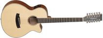 Violão 12 Cordas Tanglewood Winterleaf Super Folk Tw12ce