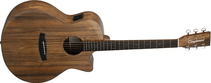 Violão Tanglewood Winterleaf Exo Grand Auditorium Tw4e Vc Pw