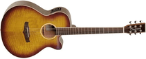 Violão Tanglewood Winterleaf Exotic Super Folk Tw4e Fm