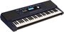 Teclado Roland Ex30 + Capa Estofada + Estante + Pedal Sustain