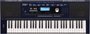 Teclado Roland Ex30 + Capa Estofada + Estante + Pedal Sustain