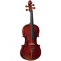Violino Eagle Ve431 Envernizado Com Case + Breu + Arco Crina